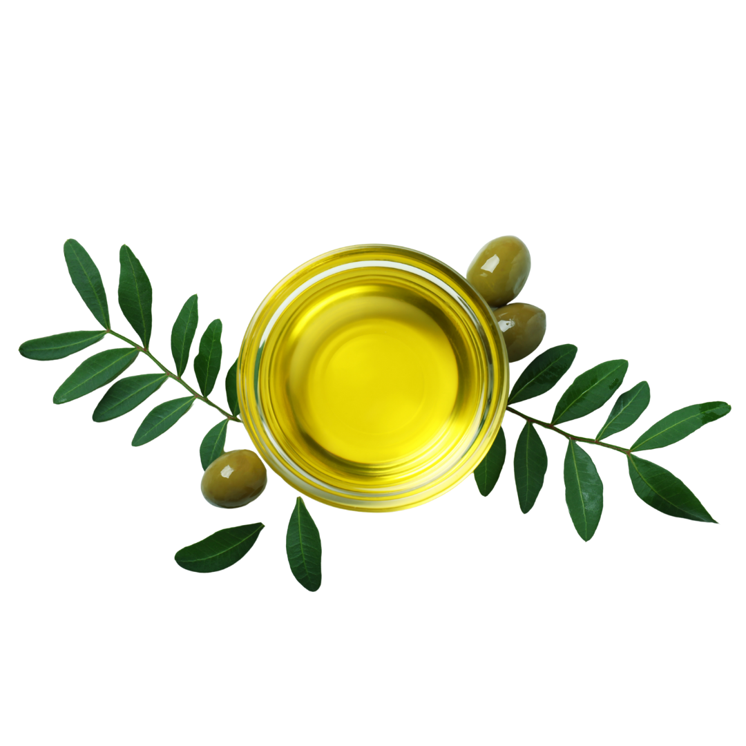 olio di oliva